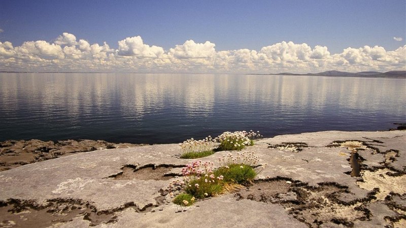 EcoTourism 